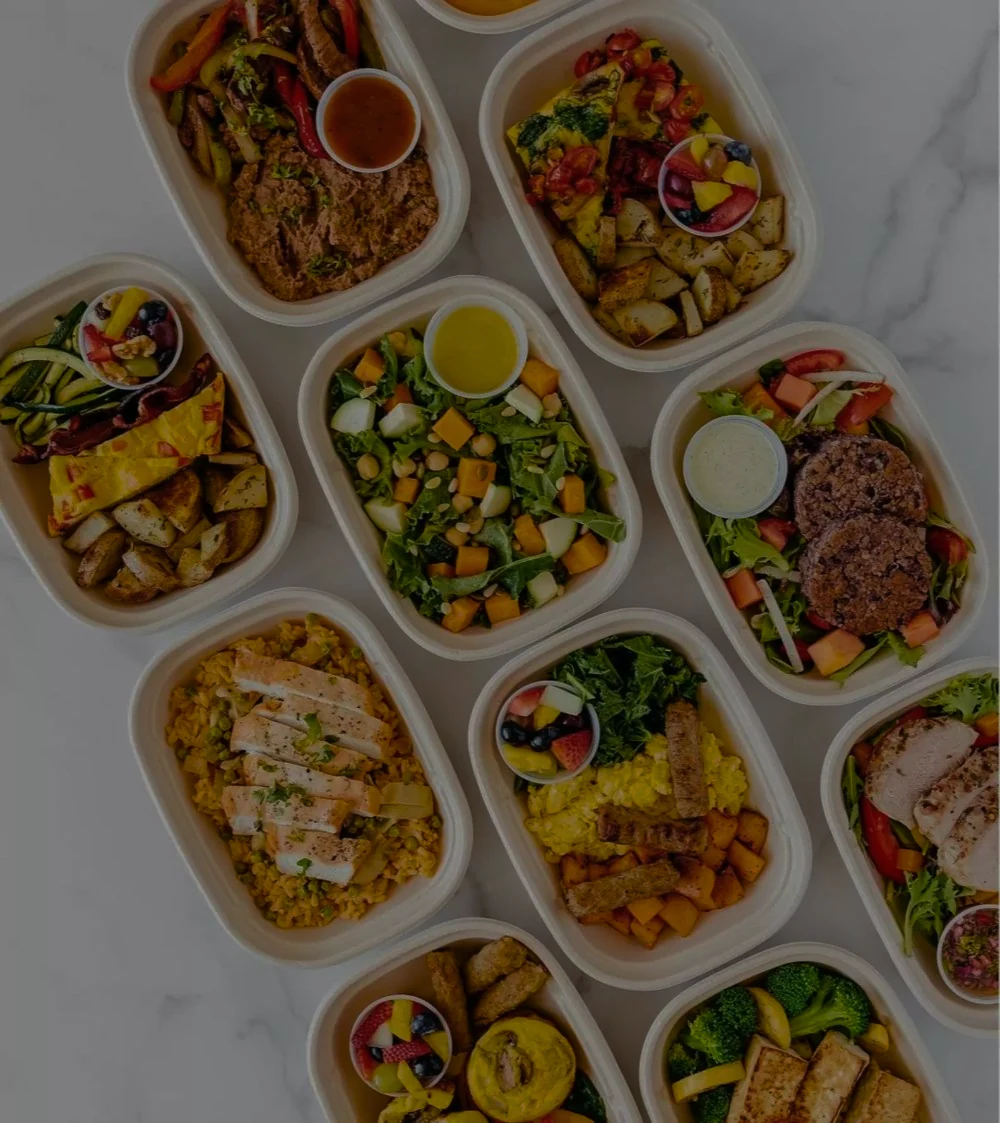 A selection of freshly prepared balanced meals in individual trays